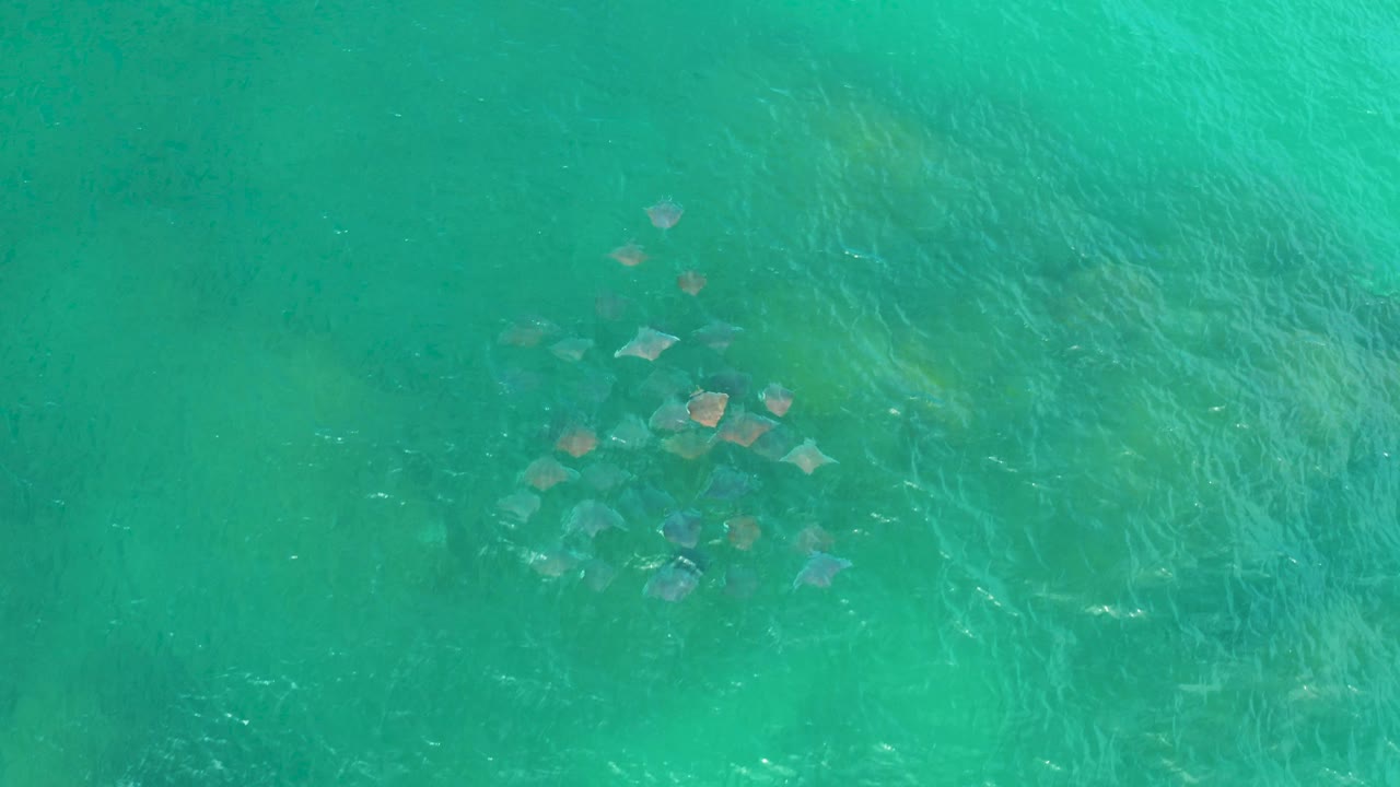 Top-down Laguna Beach water frame with submerged rocks in the lower left, soft green patches under the surface, and no visible people.