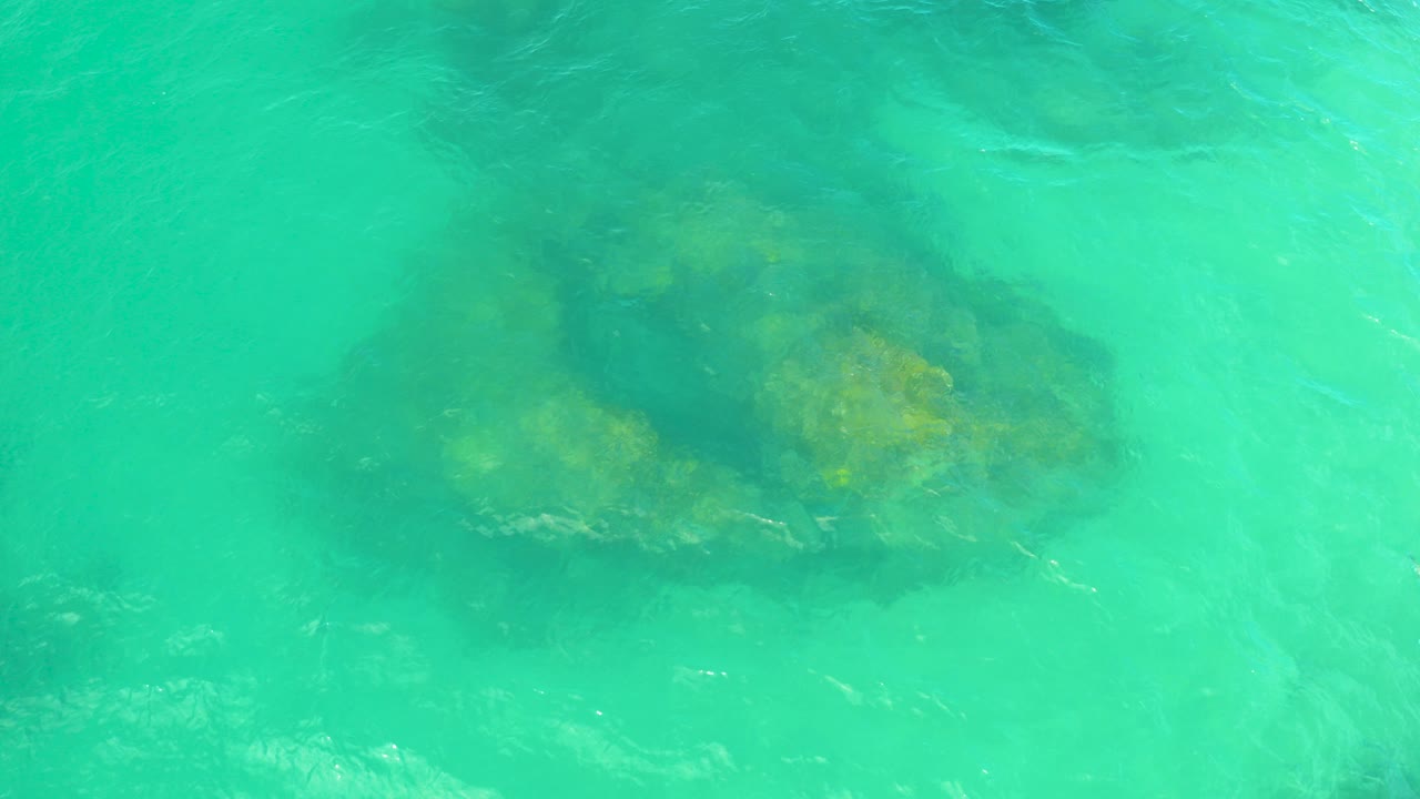 Top-down view of teal shallow water over a dark mossy submerged rock in Laguna Beach, Baja California Sur, with no visible people.