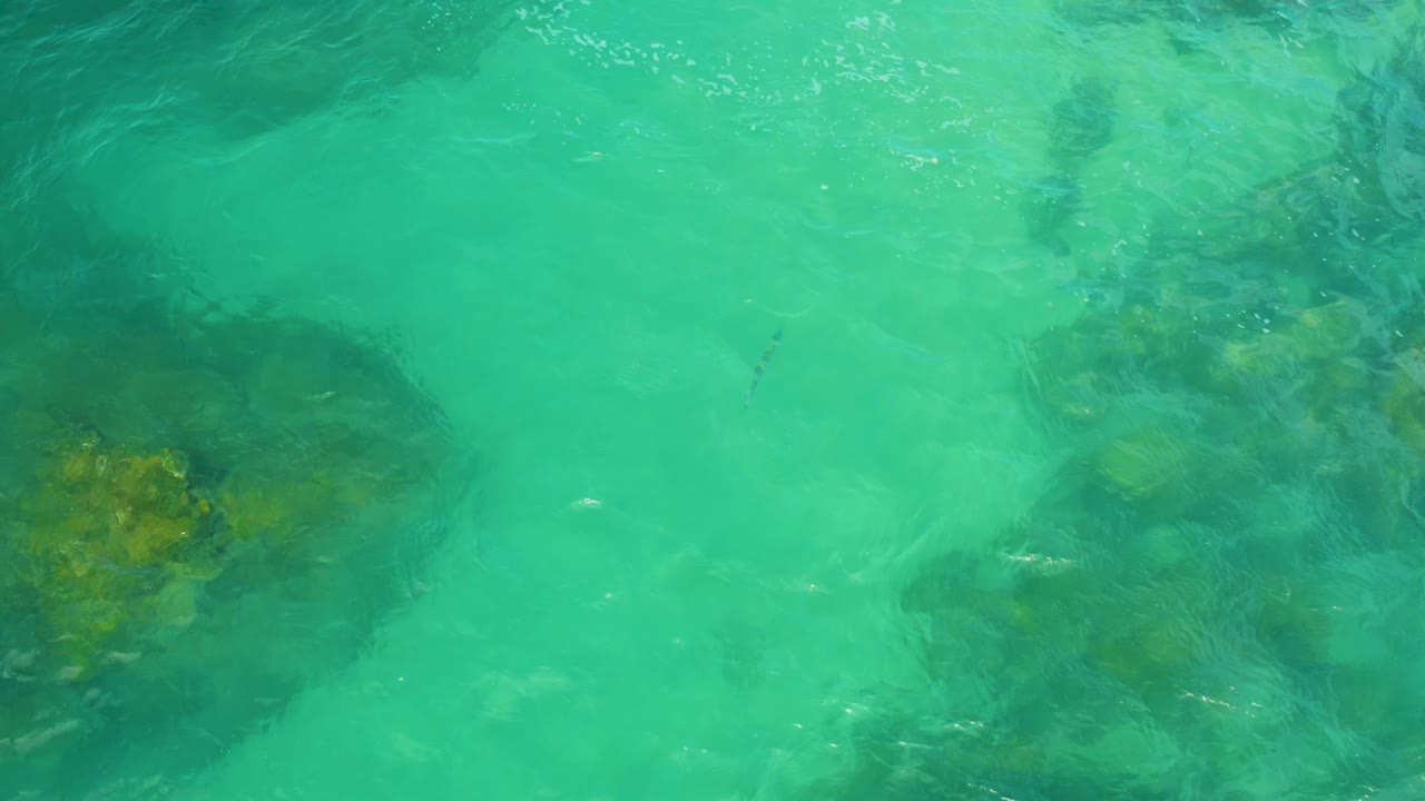 Overhead view of clear turquoise water over dark submerged rocks in Laguna Beach, Baja California Sur, with sunlight on ripples and no visible people.