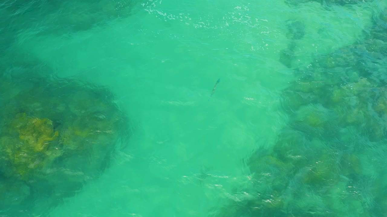 Sunlit shallow sea in Laguna Beach, Baja California Sur shows muted yellow-brown and dark rock forms beneath turquoise water, with no visible people.