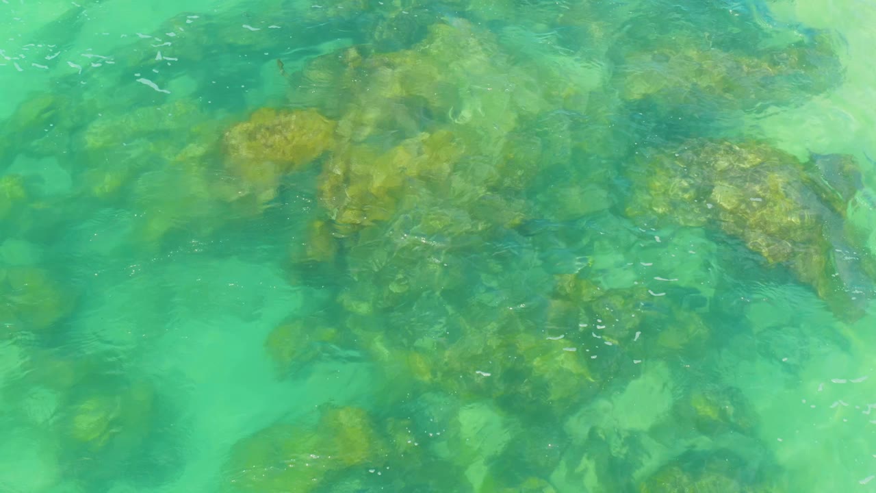 Clear green-blue ocean water covers uneven rock formations in Laguna Beach, Baja California Sur, Mexico, with no visible people or structures.