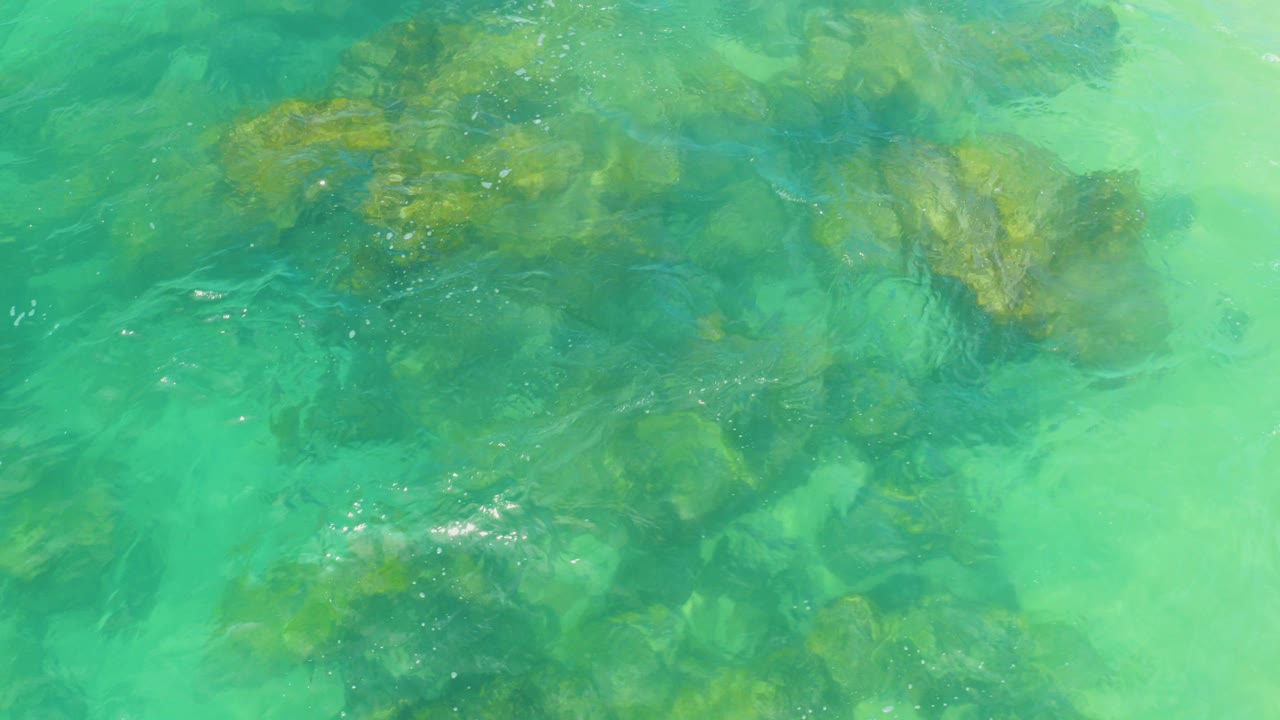 Downward view of green seawater over algae-covered submerged rocks in Laguna Beach, Baja California Sur, Mexico, with no visible people.