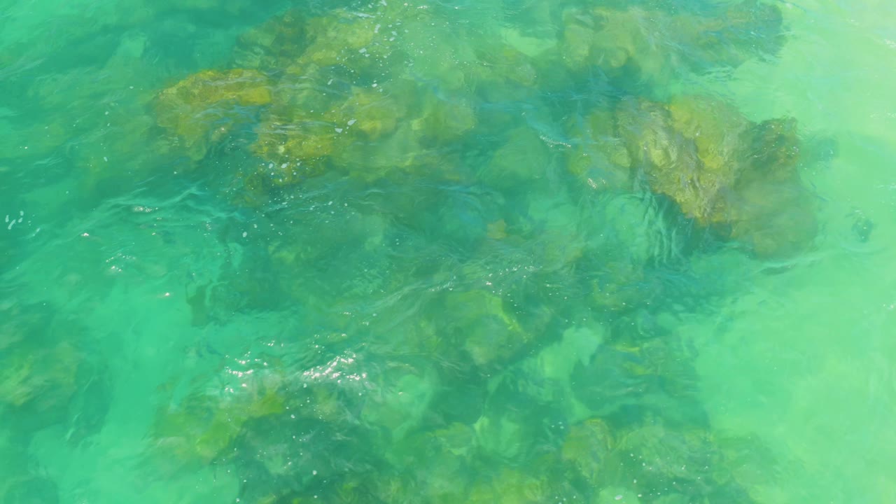 Ripples pass over submerged algae-covered rocks.