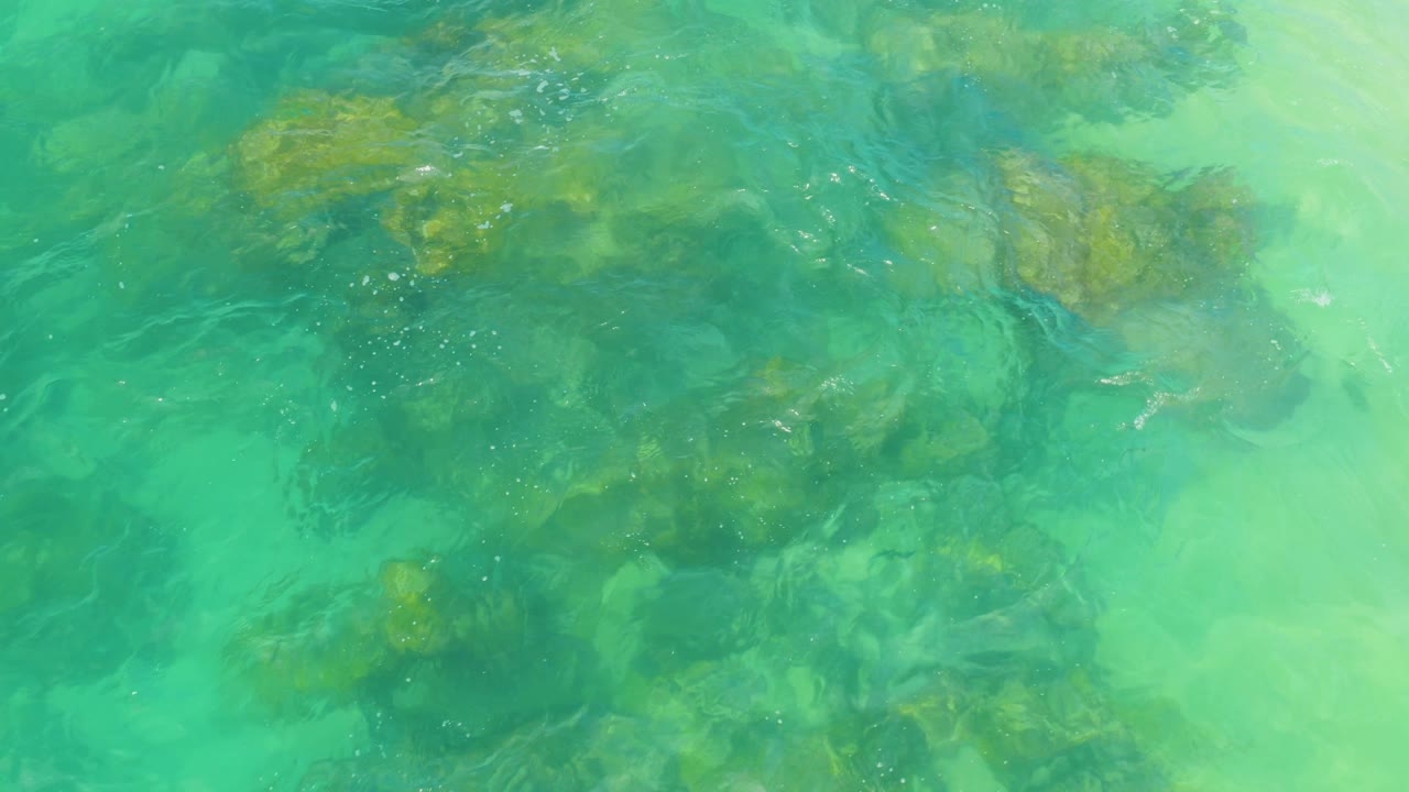 A larger algae-covered rock cluster sits beneath green coastal water in Laguna Beach, Baja California Sur, Mexico, with no visible people.