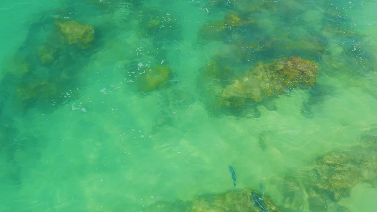 Submerged rocks sit under clear turquoise water in Laguna Beach, Baja California Sur, with a small dark fish near the lower center and no visible people.