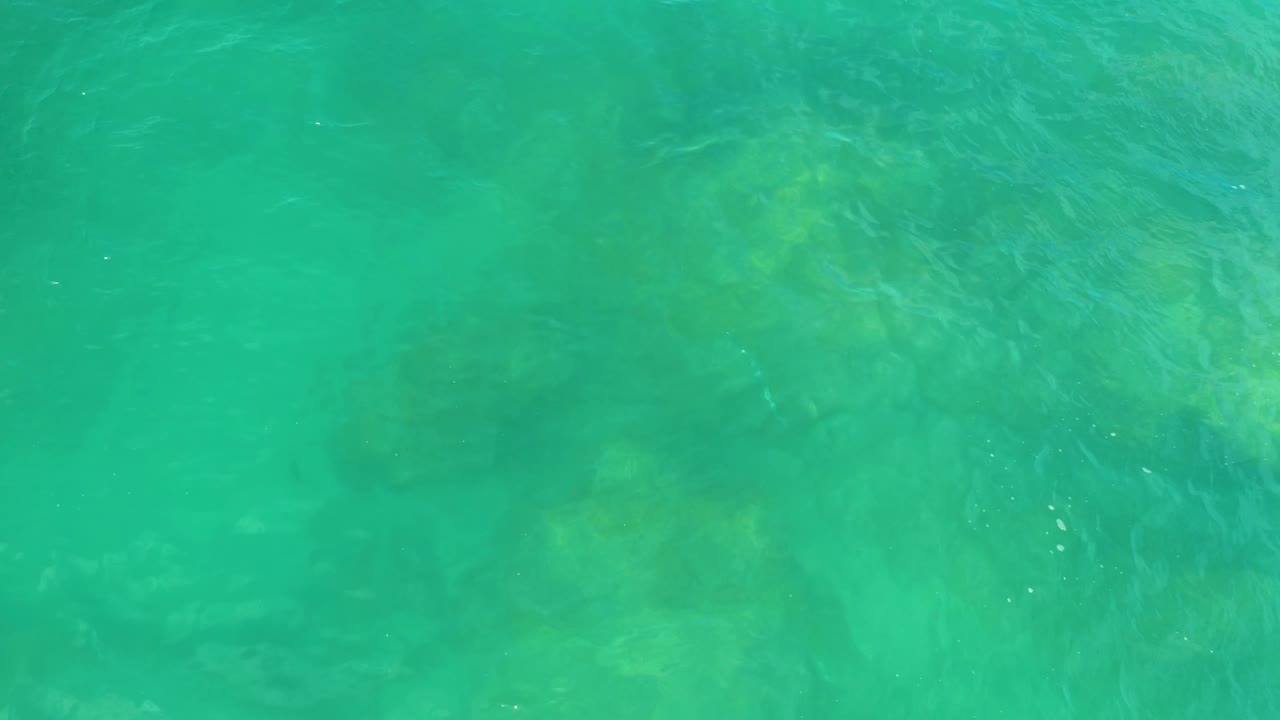 Rippling green water reveals a muted rocky bottom and soft yellow-green reef highlights in Laguna Beach, Baja California Sur, with no visible people.