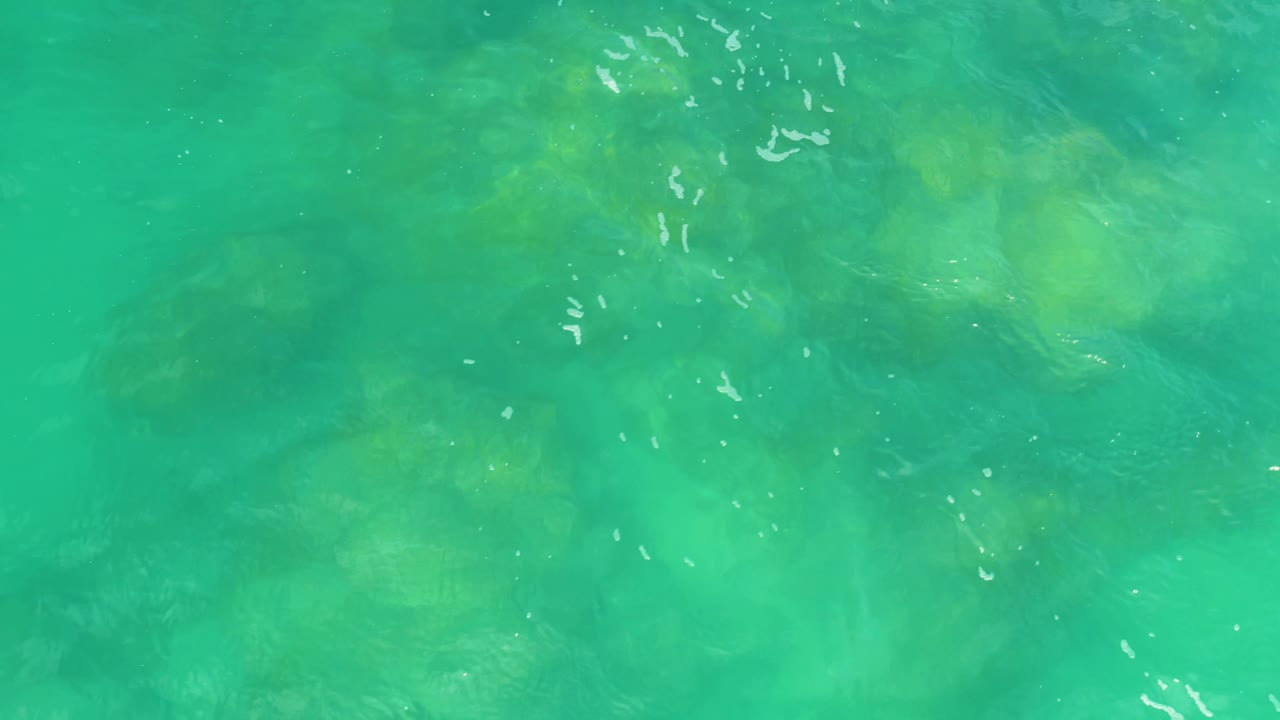 A flat overhead composition of calm green ocean water shows diffuse natural light and low wave texture, with no shoreline, boats, or visible people.