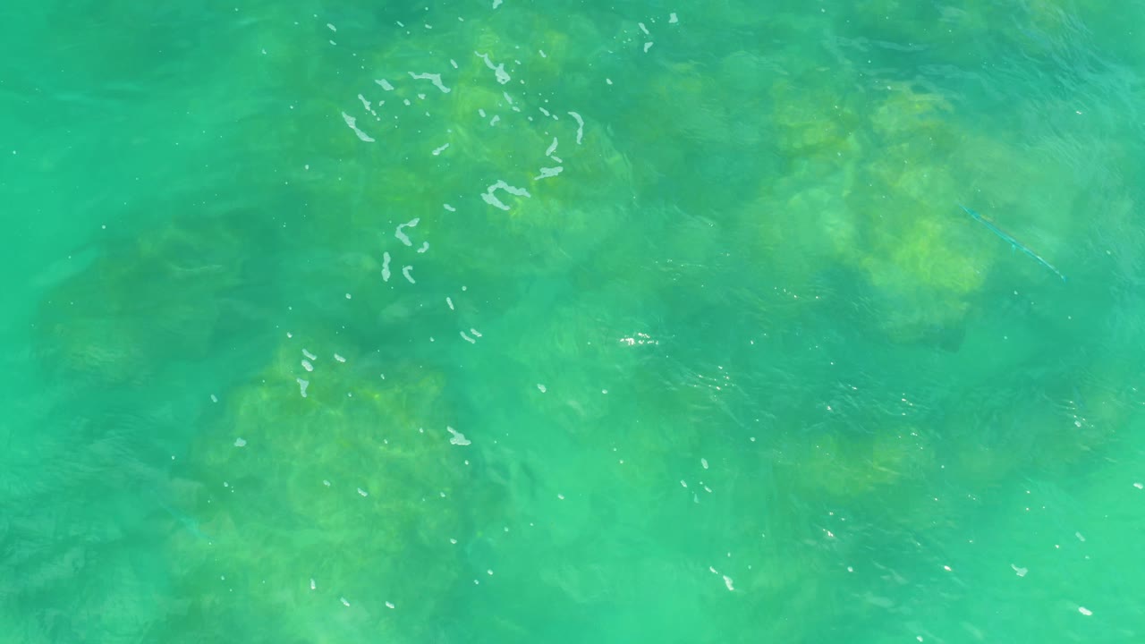 Top-down turquoise water reveals yellow-green submerged patches and scattered white surface highlights in Laguna Beach, Baja California Sur, with no visible people.