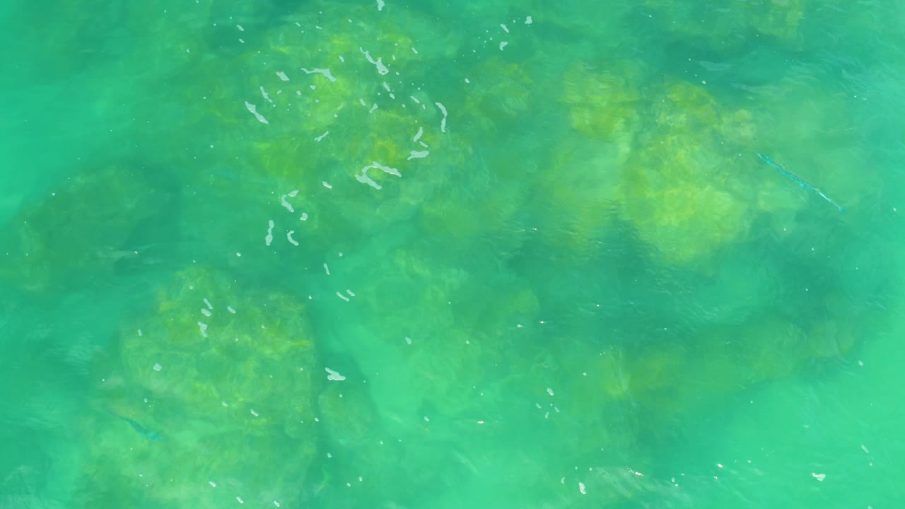 Overhead turquoise sea covers clustered green-brown underwater textures, with faint ripples crossing the surface at Laguna Beach, Baja California Sur, and no visible people.