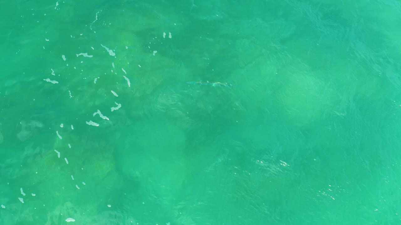 Top-down view of green-blue ocean water at Laguna Beach, Baja California Sur, with faint submerged rock or reef shapes and no visible people.