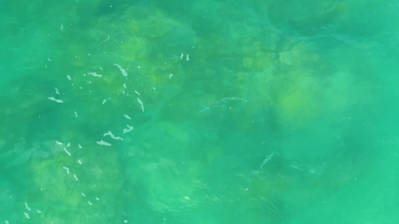 Overhead green ocean water at Laguna Beach, Baja California Sur, with darker reef-like patches beneath the surface and no visible people.