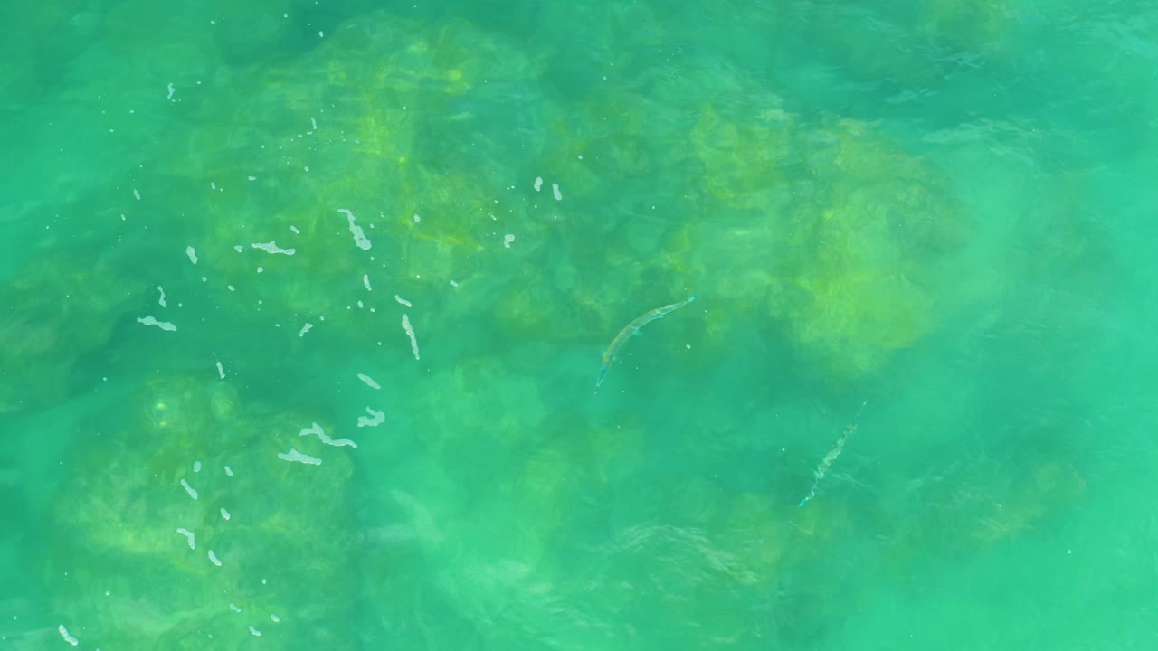 Aerial view of green-blue water at Laguna Beach, Baja California Sur, with white ripple marks and yellow-green shallow areas, no visible people.