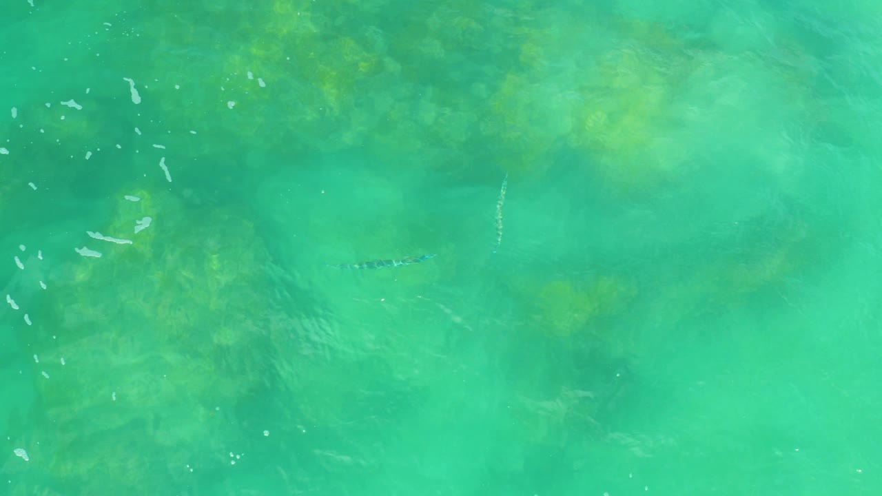 Overhead view of turquoise ocean water over submerged reef at Laguna Beach, Baja California Sur, Mexico, with faint white surface streaks and no visible people.
