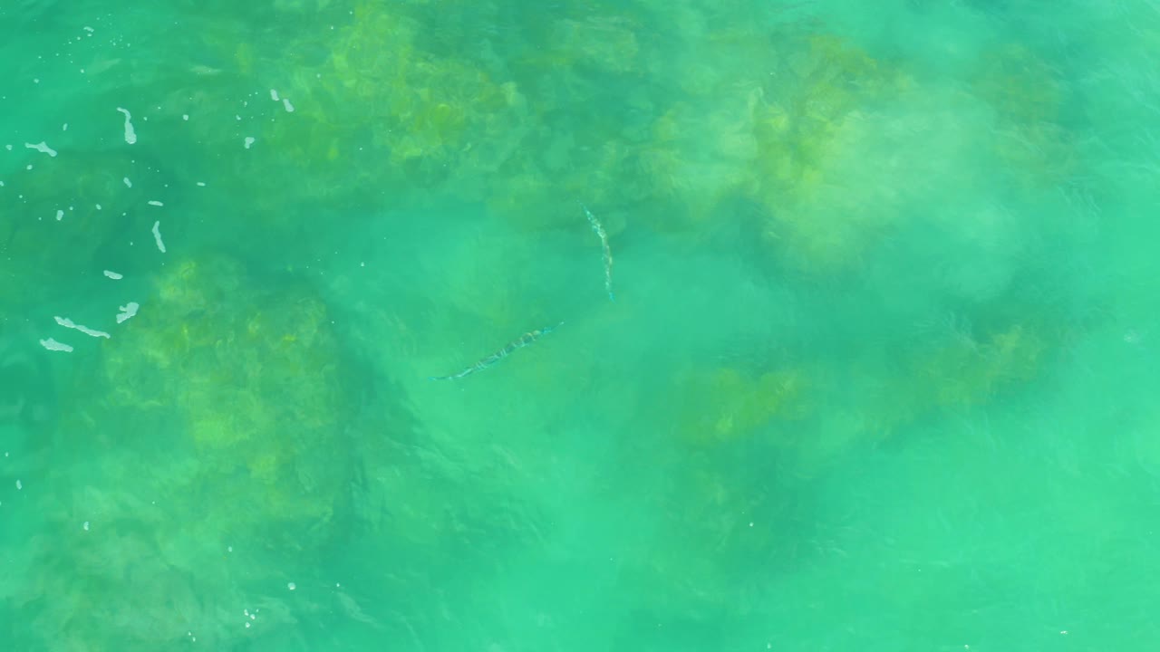 Top-down view of clear turquoise water at Laguna Beach, Baja California Sur, Mexico, with darker reef masses under the surface and no visible people.