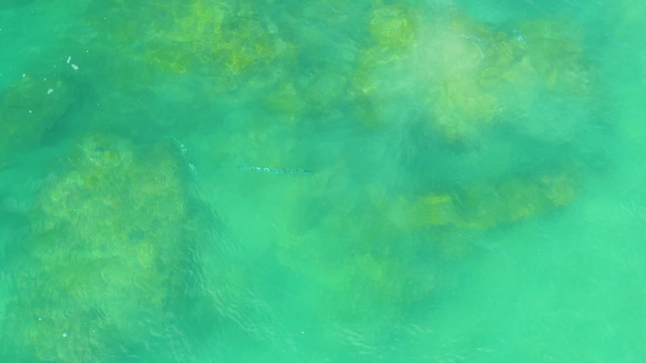 Overhead clear green water with darker submerged patches.