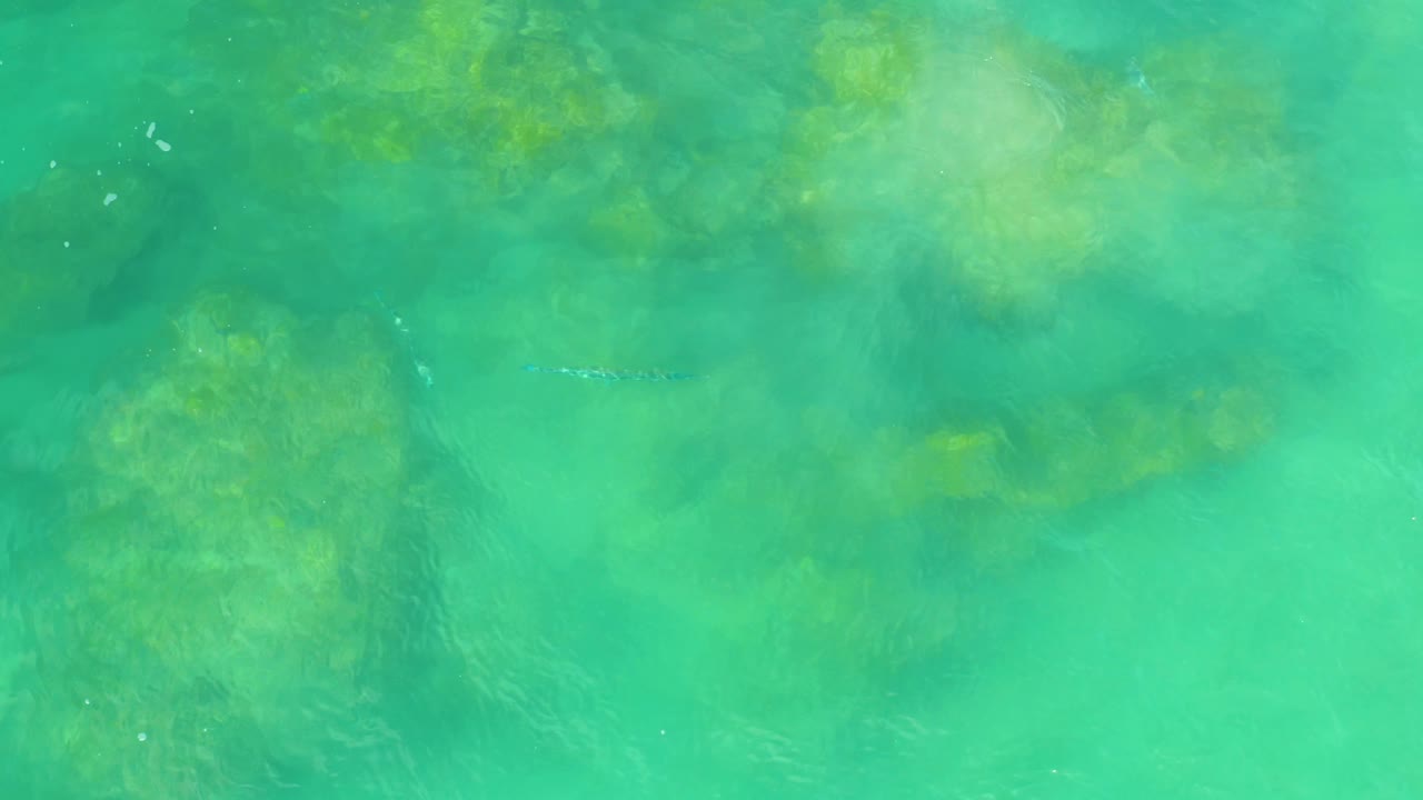 Clear green water fills the frame in Laguna Beach, Baja California Sur, with faint surface ripples and shadowy underwater shapes, no visible people.