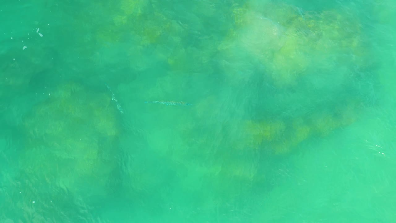 Top-down turquoise-green water in Laguna Beach, Baja California Sur shows muted bottom texture and scattered white ripple marks with no visible people.