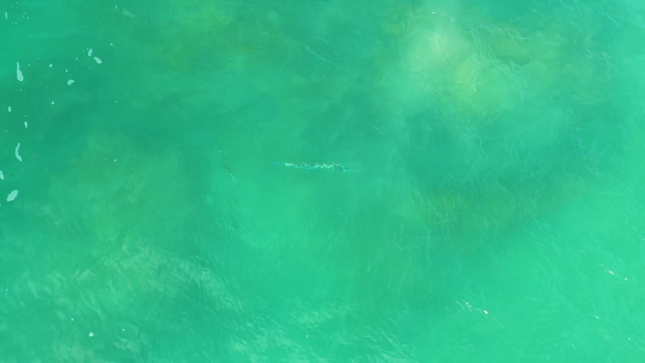 Clear green natural pool water in Laguna Beach, Baja California Sur shows pale underwater patches and small ripples across an empty frame with no visible people.