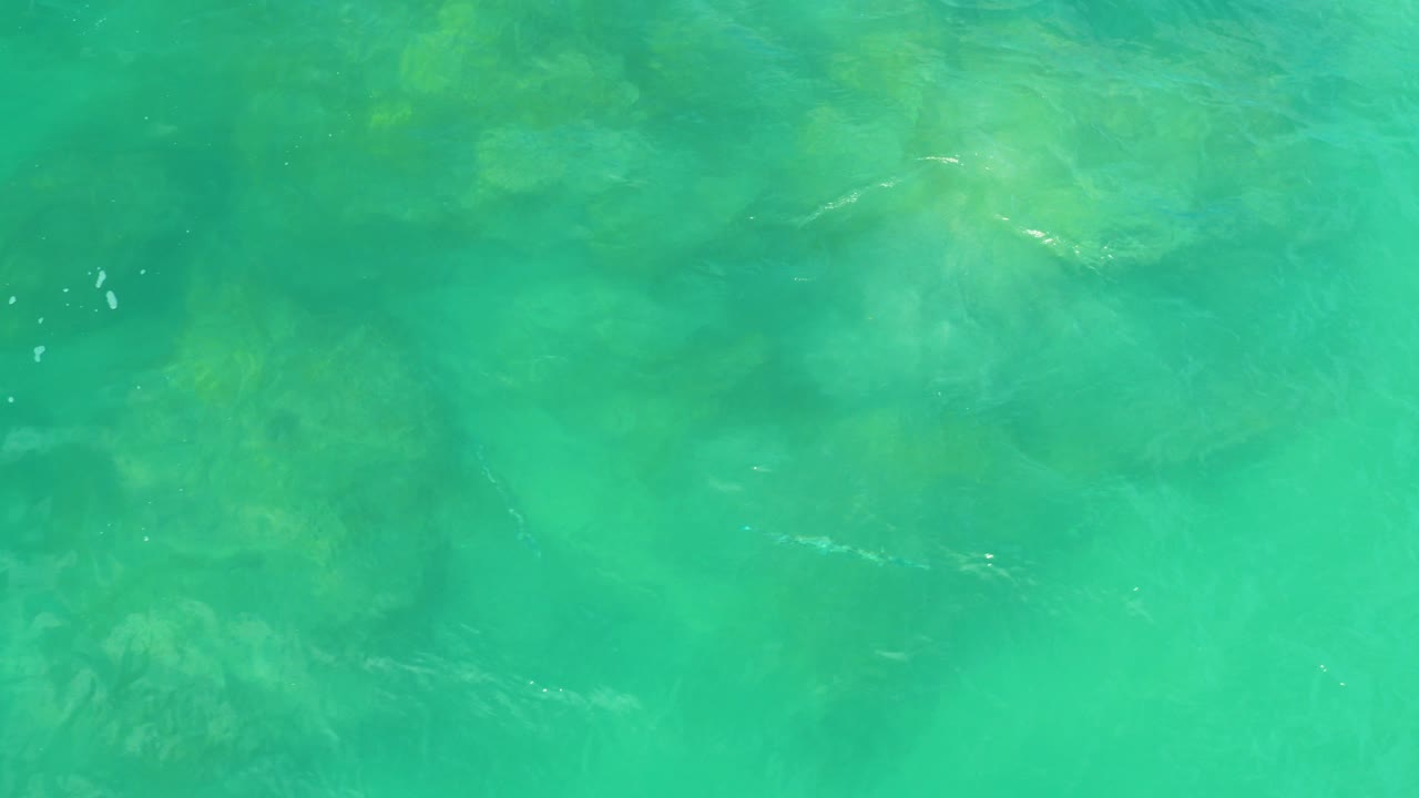 Overhead view of clear green-blue water over submerged rocks at Laguna Beach, Baja California Sur, with no visible people.
