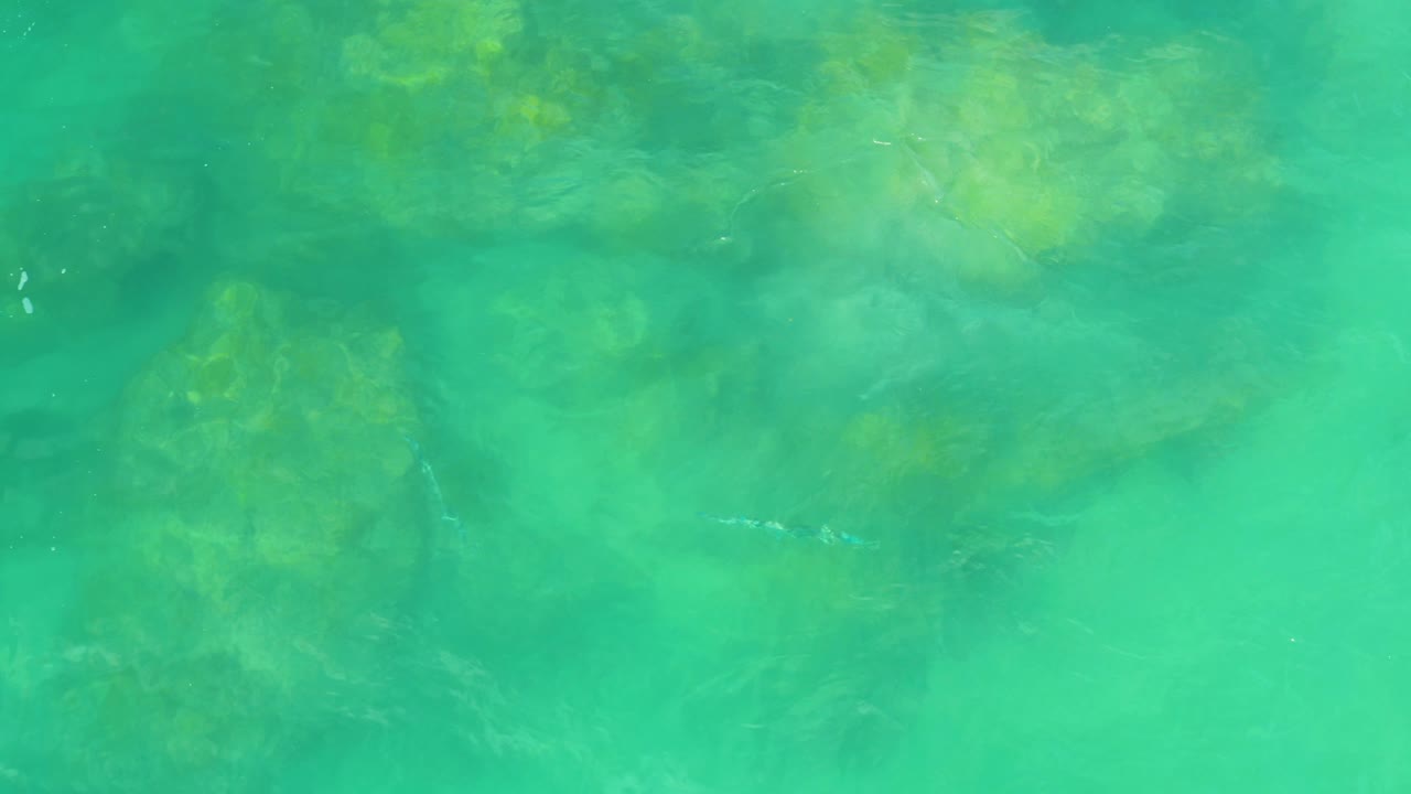 Clear shallow-looking water shows pale green highlights and rock patches below the surface in Laguna Beach, Baja California Sur, with no visible people.