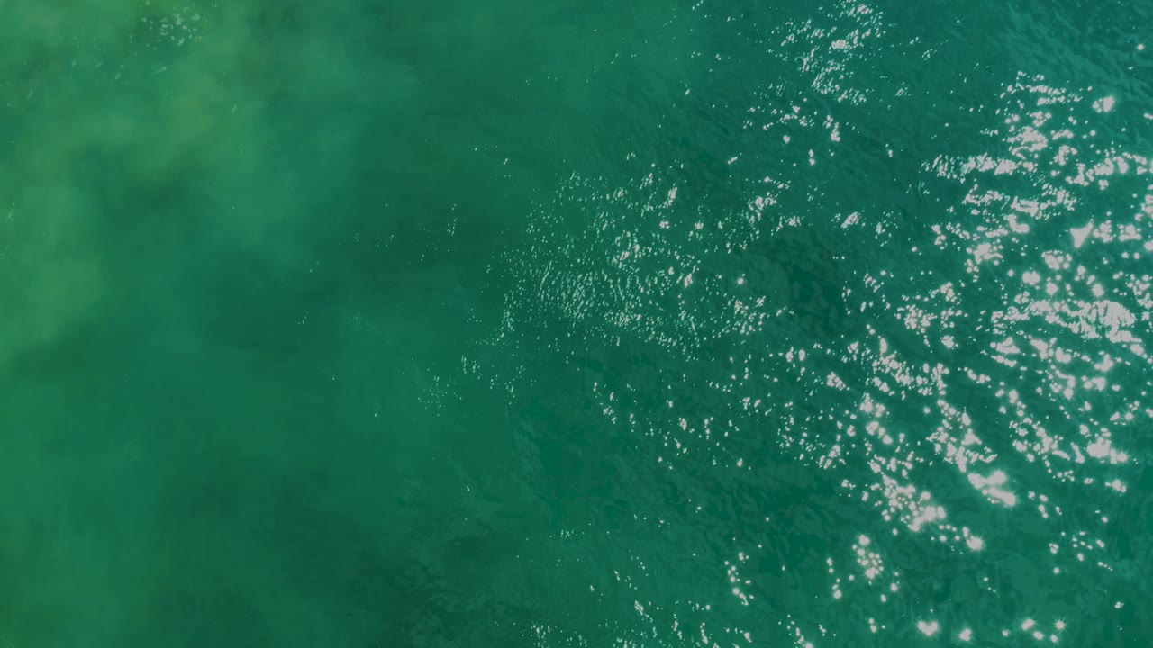 Green seawater with bright reflected highlights