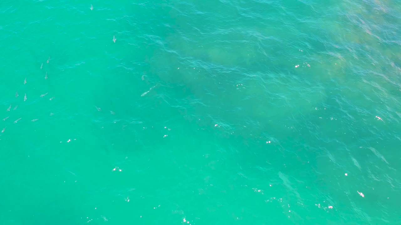 Clear blue-green water with small bright highlights and subtle wave texture.