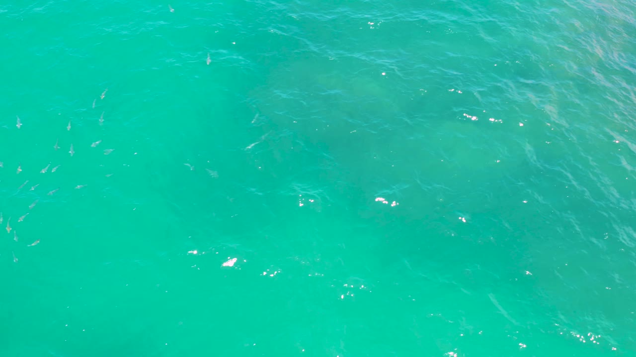 Turquoise ocean water at Laguna Beach, Baja California Sur, shows sun sparkle near the surface, muted darker patches below, and no visible people.