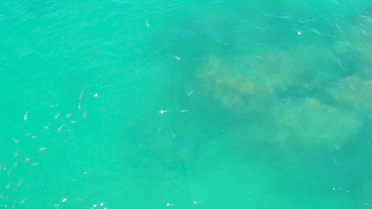 Clear turquoise water with submerged rocks and small fish.