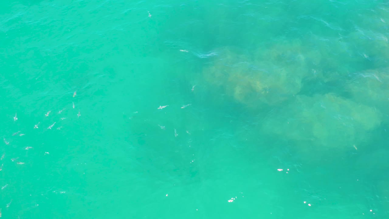 Turquoise water covers broad submerged rocks in Laguna Beach, Baja California Sur, with a few small fish and faint surface highlights, no visible people.