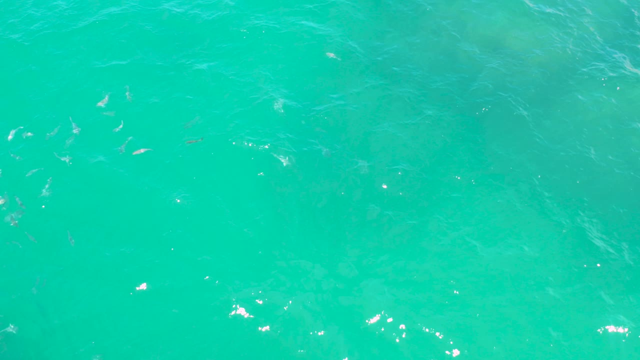 Rippling turquoise water fills the frame in Laguna Beach, Baja California Sur, with faint small fish and surface shine, and no visible people.