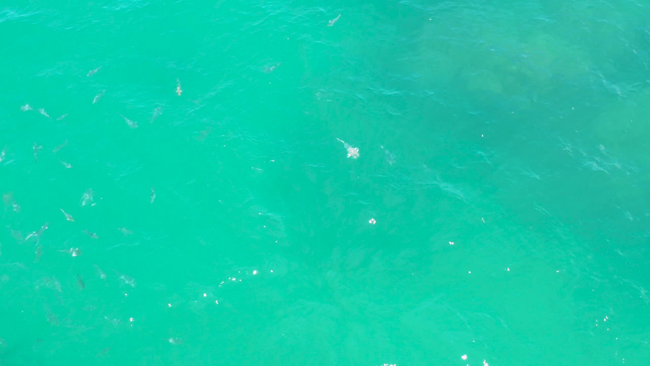 Overhead view of turquoise seawater at Laguna Beach, Baja California Sur, with faint submerged patches, small ripples, bright surface highlights, and no visible people.