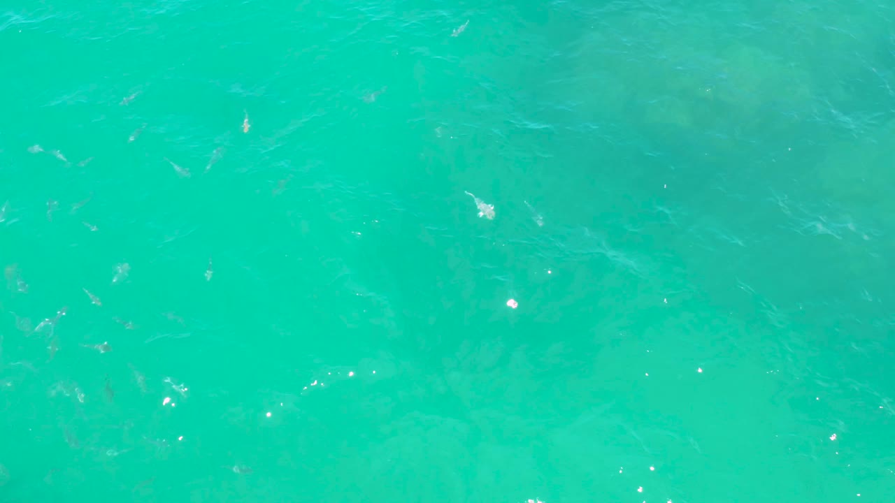 Clear aqua water with surface shimmer and darker forms below.