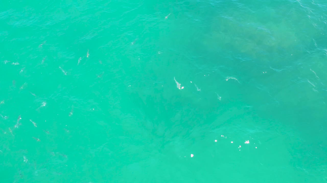 Bright turquoise water at Laguna Beach, Baja California Sur, shows scattered white sun reflections, mild rippling, muted seabed shapes, and no visible people.