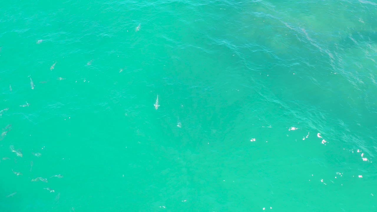 Blue green rippling water with small fish shapes near the surface.