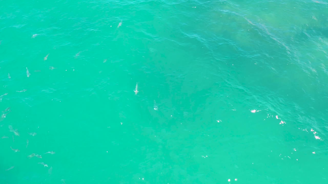 Turquoise sea surface in Laguna Beach, Baja California Sur, with small fish forms slightly left of center and scattered bright reflections, no visible people.