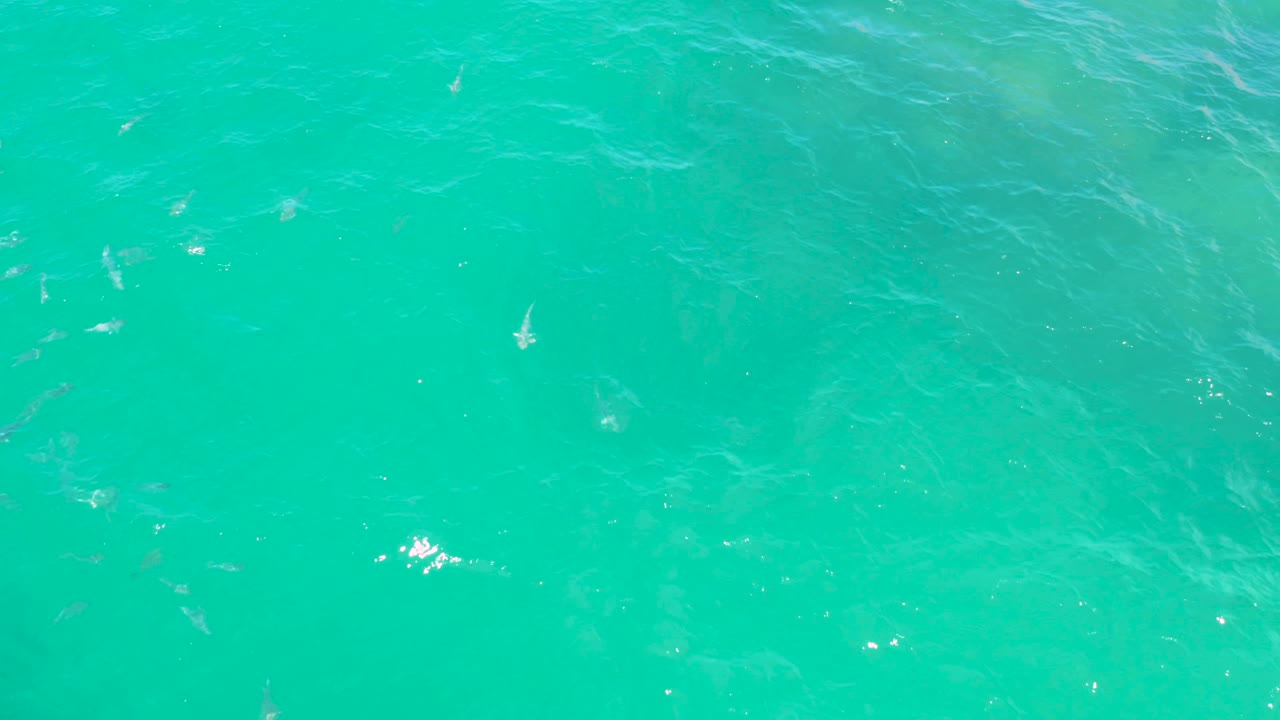 Overhead blue green water in Laguna Beach, Baja California Sur, with faint wave texture, tiny fish silhouettes, and a bright sun glint near the lower center, no visible people.