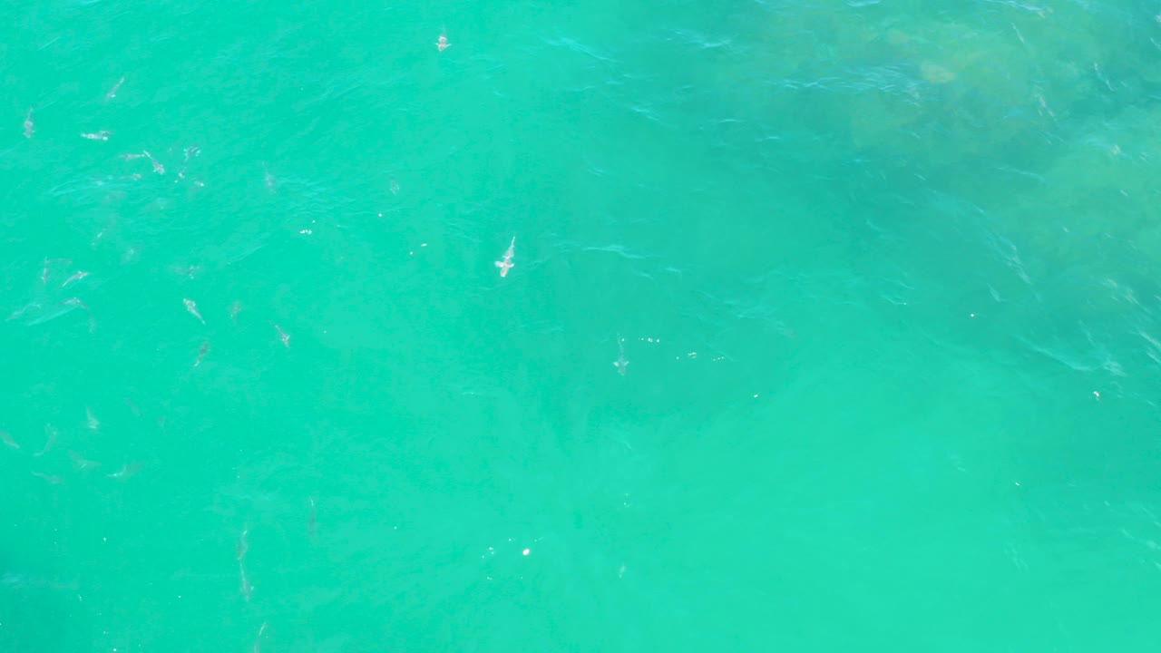 Top-down view of turquoise sea water at Laguna Beach, Baja California Sur, with faint small fish below the rippled surface and no visible people.