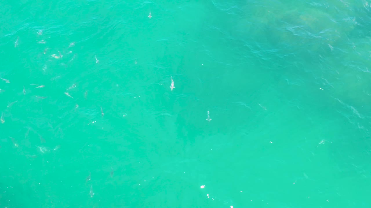 Aerial-style frame of rippled turquoise water at Laguna Beach, Baja California Sur, where faint fish marks sit below a brighter patch of surface light and no visible people appear.
