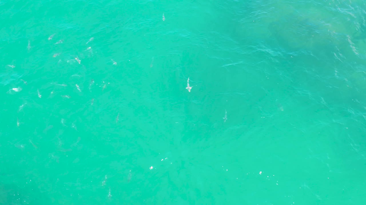 Bright aqua sea surface at Laguna Beach, Baja California Sur, with subtle fish forms under the water and small white light flecks on the ripples, with no visible people.