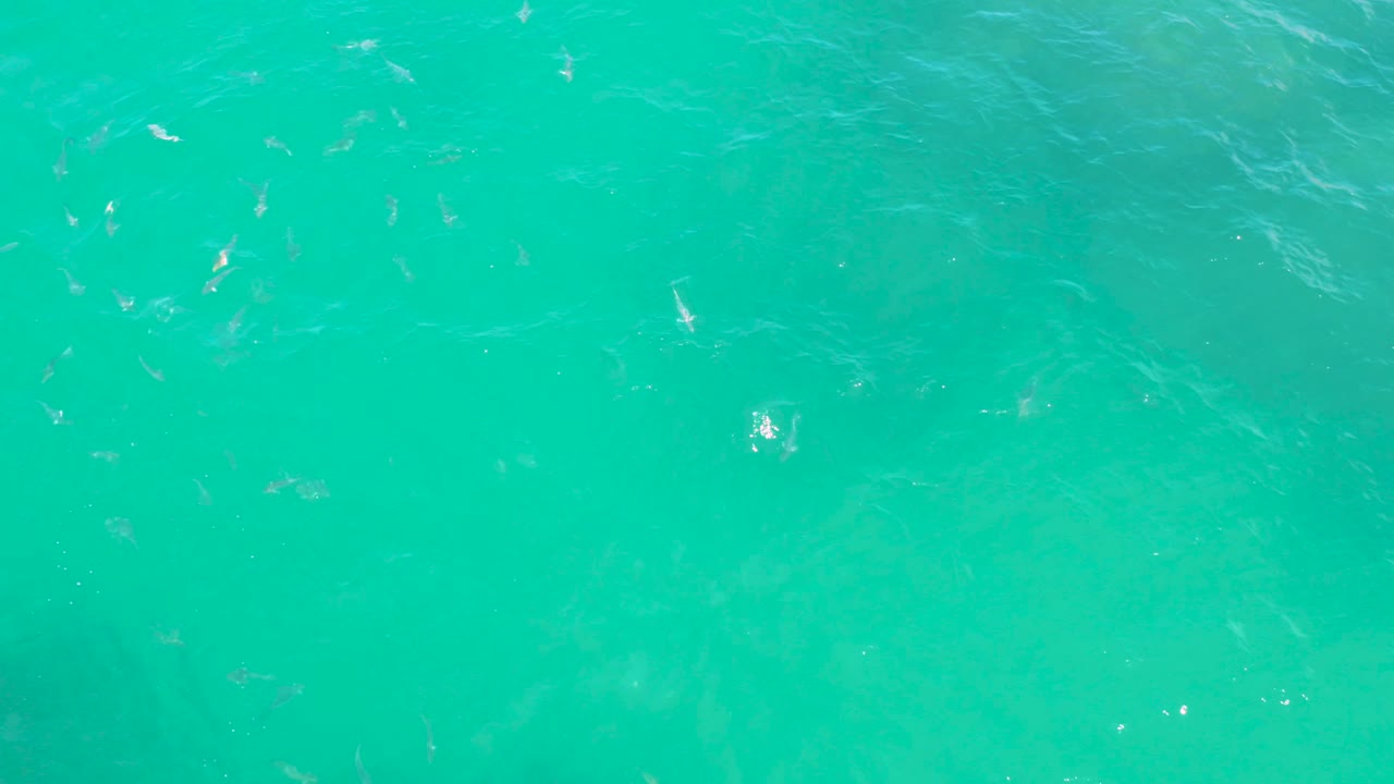 Transparent turquoise water at Laguna Beach, Baja California Sur, shows small fish under the surface with bright reflection points and soft wave lines, no visible people.