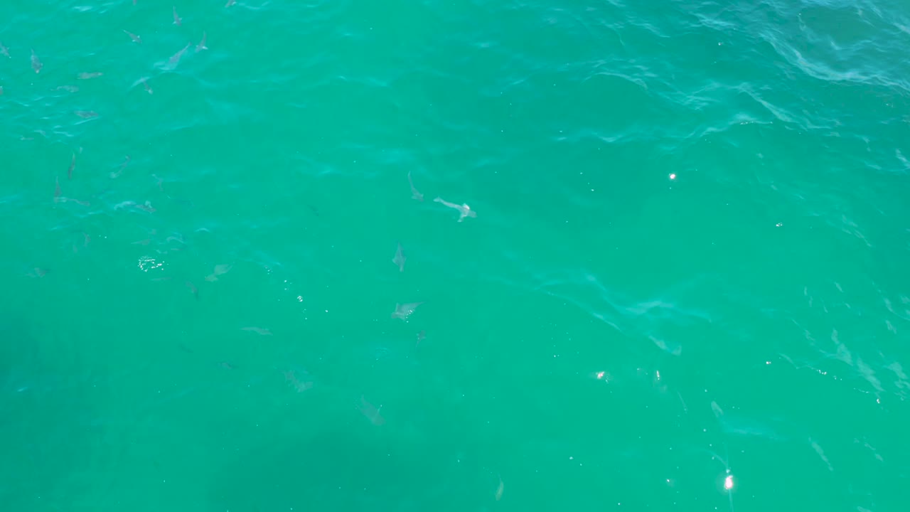 Clear green-blue seawater in Laguna Beach, Baja California Sur, with faint fish shapes below the surface, light ripples, and no visible people.