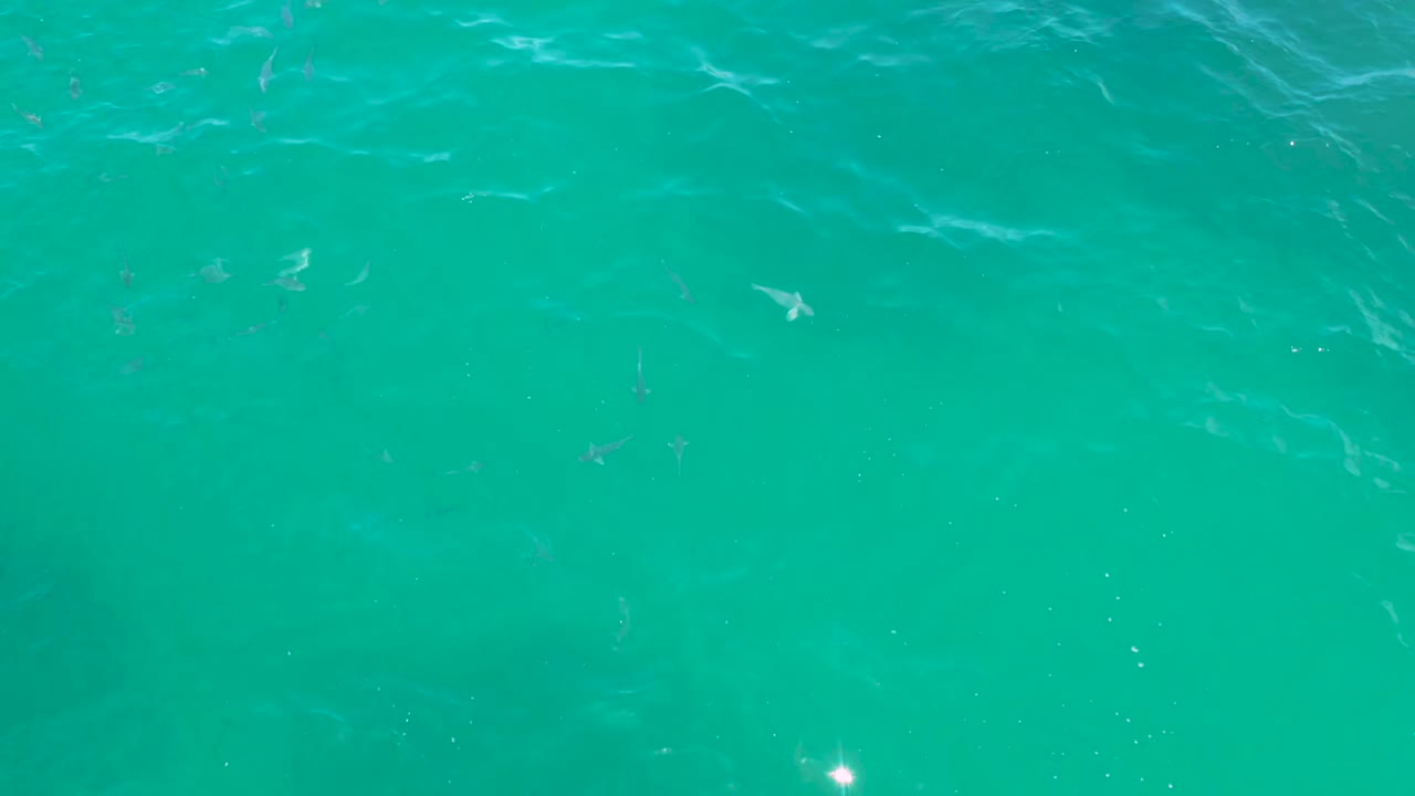 Overhead view of Laguna Beach seawater with white surface ripples crossing the turquoise frame, small fish below, and no visible people.