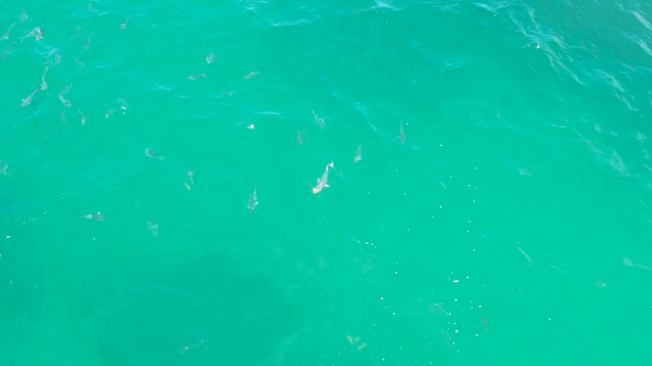 Bright turquoise sea surface in Laguna Beach, Baja California Sur, shows faint fish shapes below the water and small white highlights on ripples, with no visible people.
