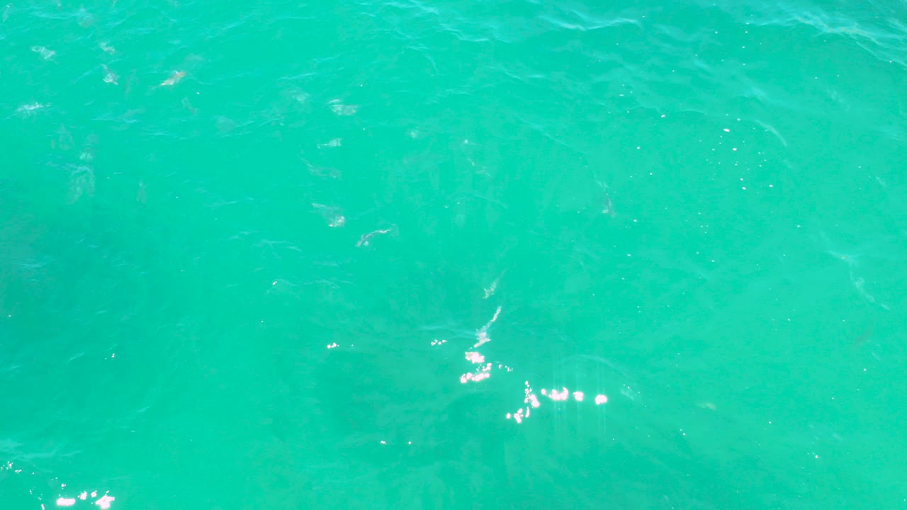 Overhead view of turquoise ocean water in Laguna Beach, Baja California Sur, Mexico, with faint small pale fish beneath the rippled surface and no visible people.