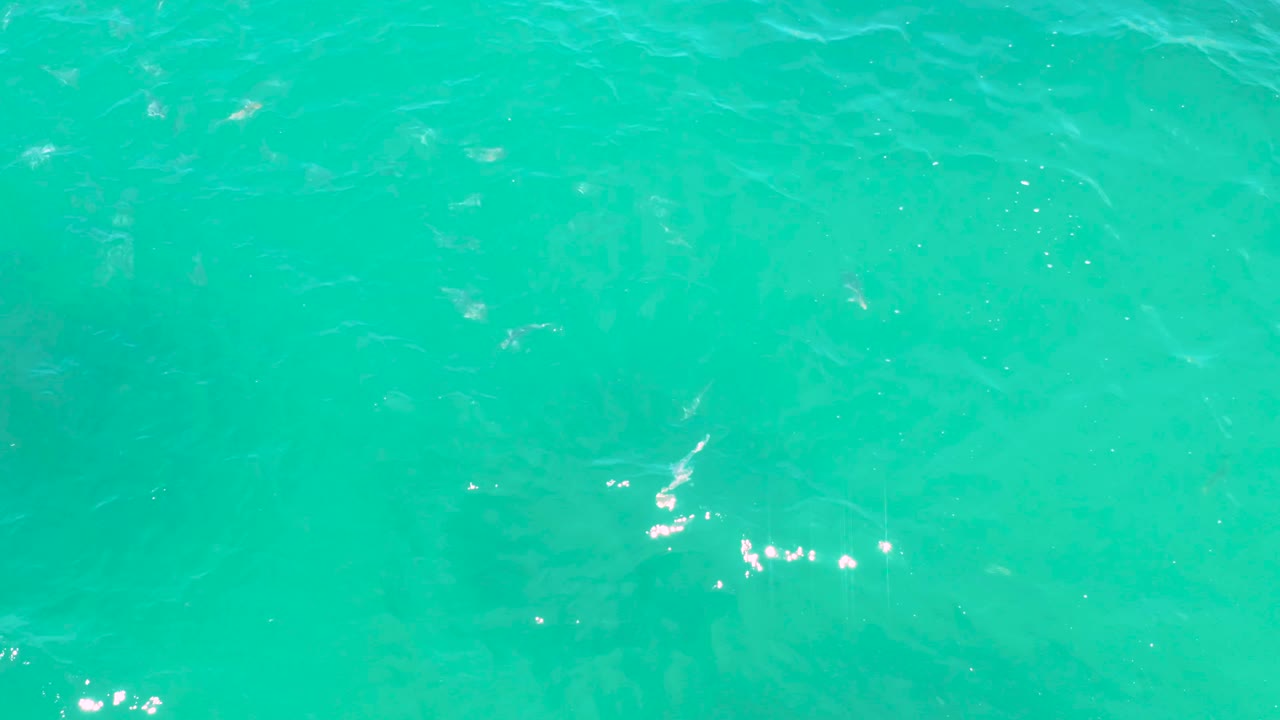 Turquoise open water fills the frame in Laguna Beach, Baja California Sur, Mexico, with a few tiny pale fish-like shapes visible under shifting ripples and no visible people.