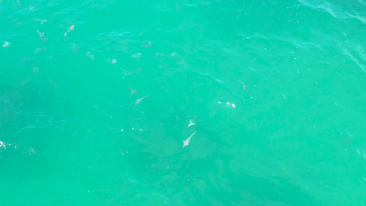 An overhead frame of blue-green ocean at Laguna Beach, Baja California Sur, Mexico, shows scattered sun highlights and faint underwater pale shapes, with no visible people or shoreline.