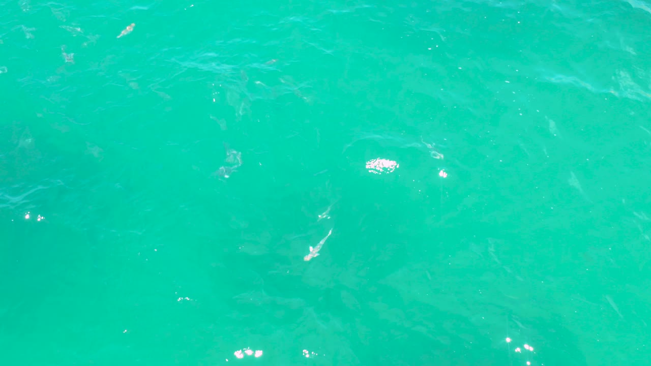 Bright turquoise water in Laguna Beach, Baja California Sur, Mexico, shows stronger white reflections near the surface and faint small fish beneath, with no visible people.