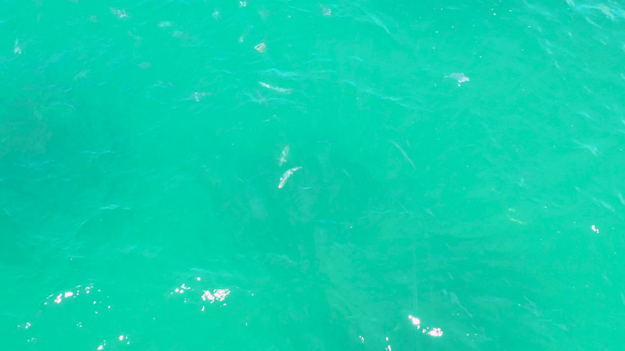 Turquoise shallow water with bright surface glints