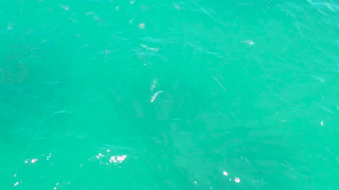 Aquamarine water fills the frame in Laguna Beach, Baja California Sur, with pale submerged streaks visible beneath ripples and no visible people.