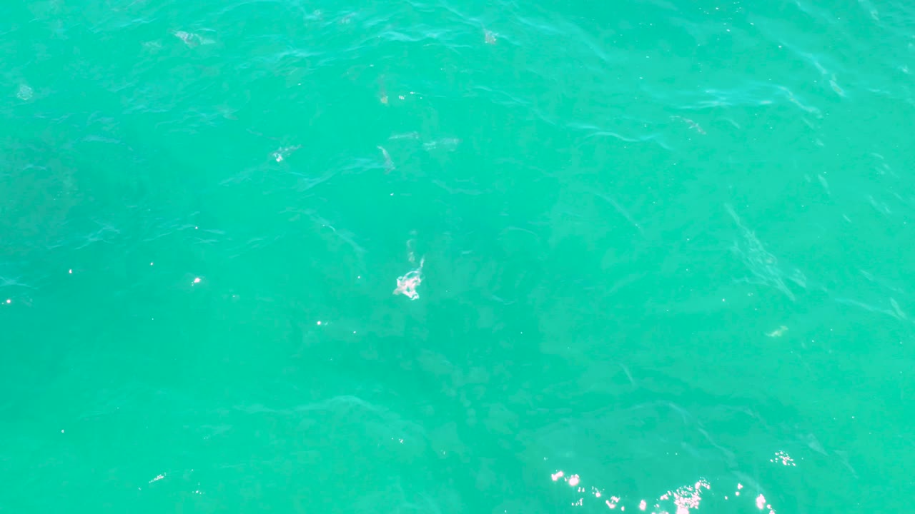 Blue-green shallow water in Laguna Beach, Baja California Sur, shows scattered bright highlights and faint shadowy forms under the surface, no visible people.